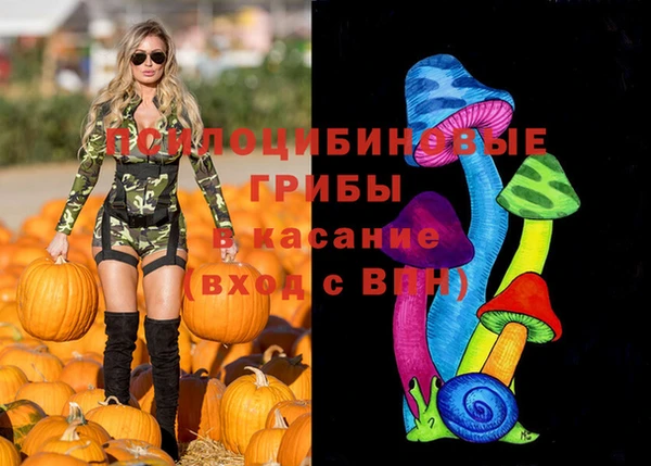 хмурый Баксан